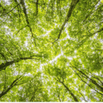 We’re almost at the end of semester!  Remember to take a moment to breath 