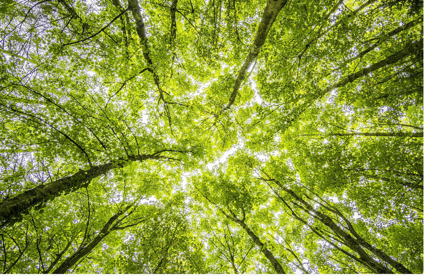 Image for We’re almost at the end of semester! Remember to take a moment to breathe