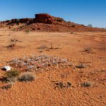 MWA enters Phase III: A new era for WA’s window on the Universe