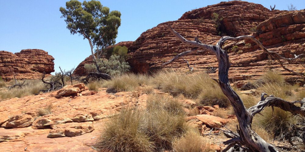 Ancient rocks reveal continent-breaking forces and critical mineral origins