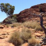 Ancient rocks reveal continent-breaking forces and critical mineral origins