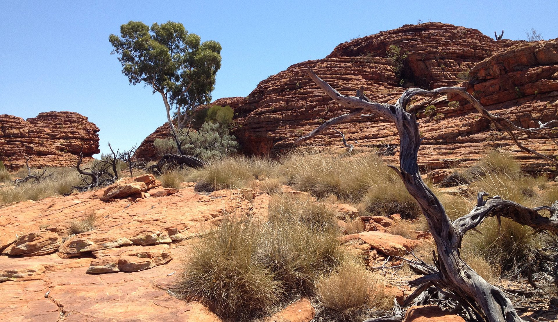 Image for Ancient rocks reveal continent-breaking forces and critical mineral origins