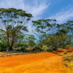 How to prepare for your rural placement