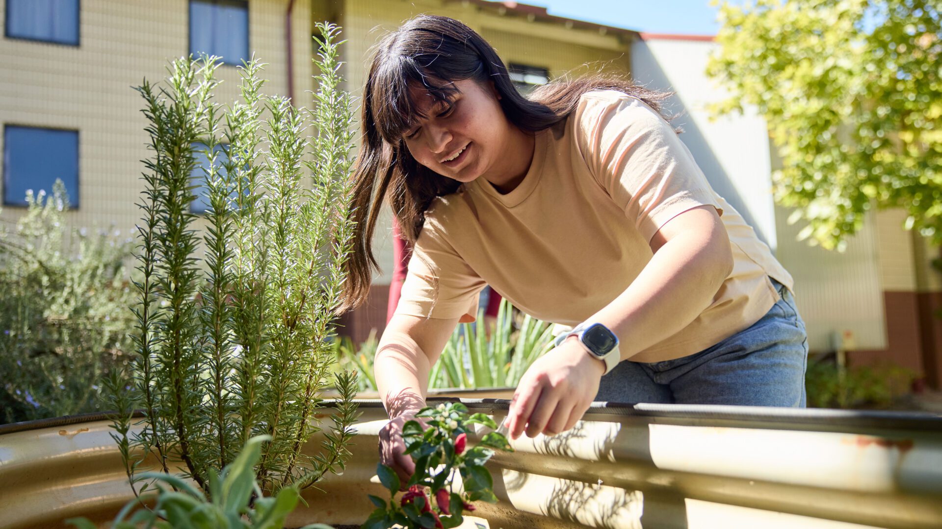 Curtin student in herb garden.