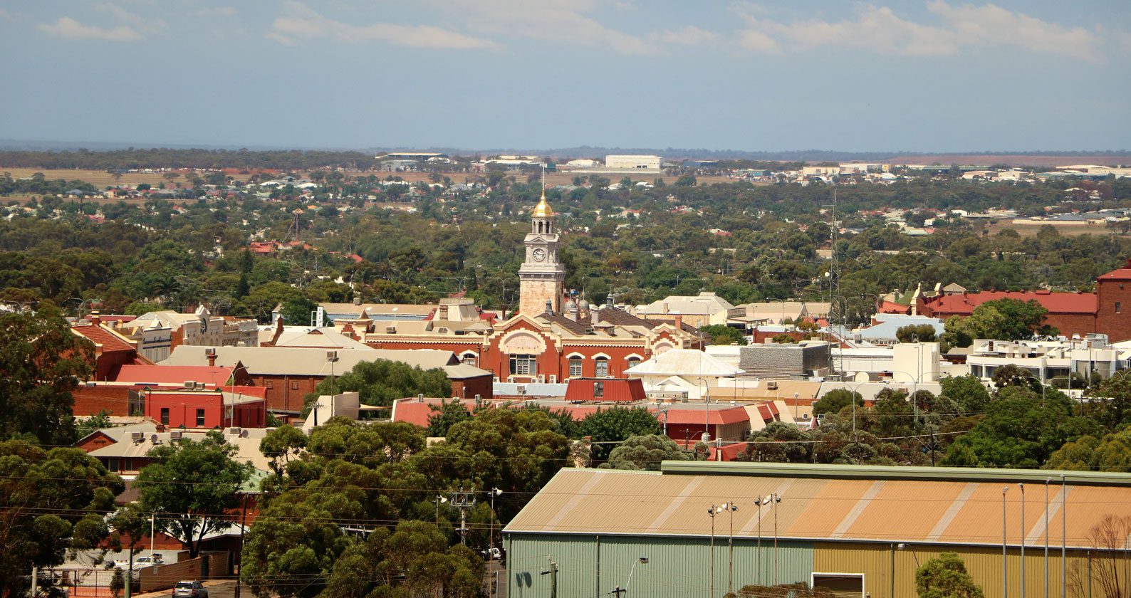 Image for Busting the top myths about rural health placements in the Goldfields