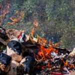 Global study reveals widespread burning of plastic for heating and cooking