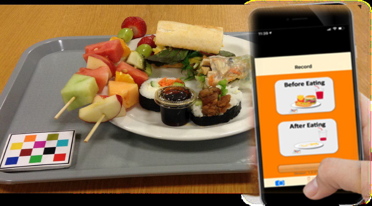 Image for Food for thought: Plate photos help Australians track what they eat