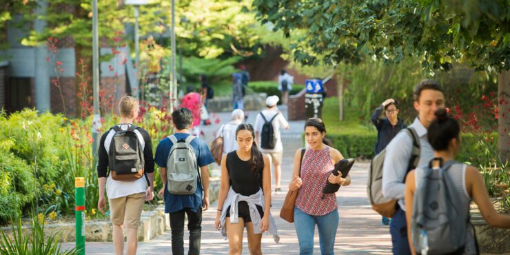 Students walking along a leafy campus pathway with backpacks on a sunny day