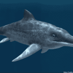 Scientists uncover the secret behind perfectly 3D preserved ‘sea reptile’ fossils