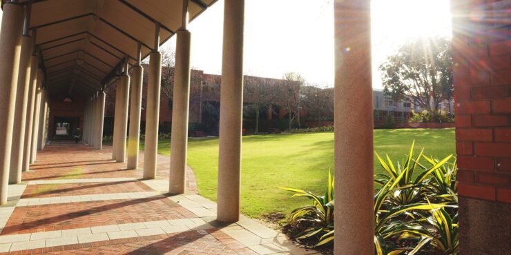 Covered walkway with columns beside a grassy campus courtyard in sunlight.