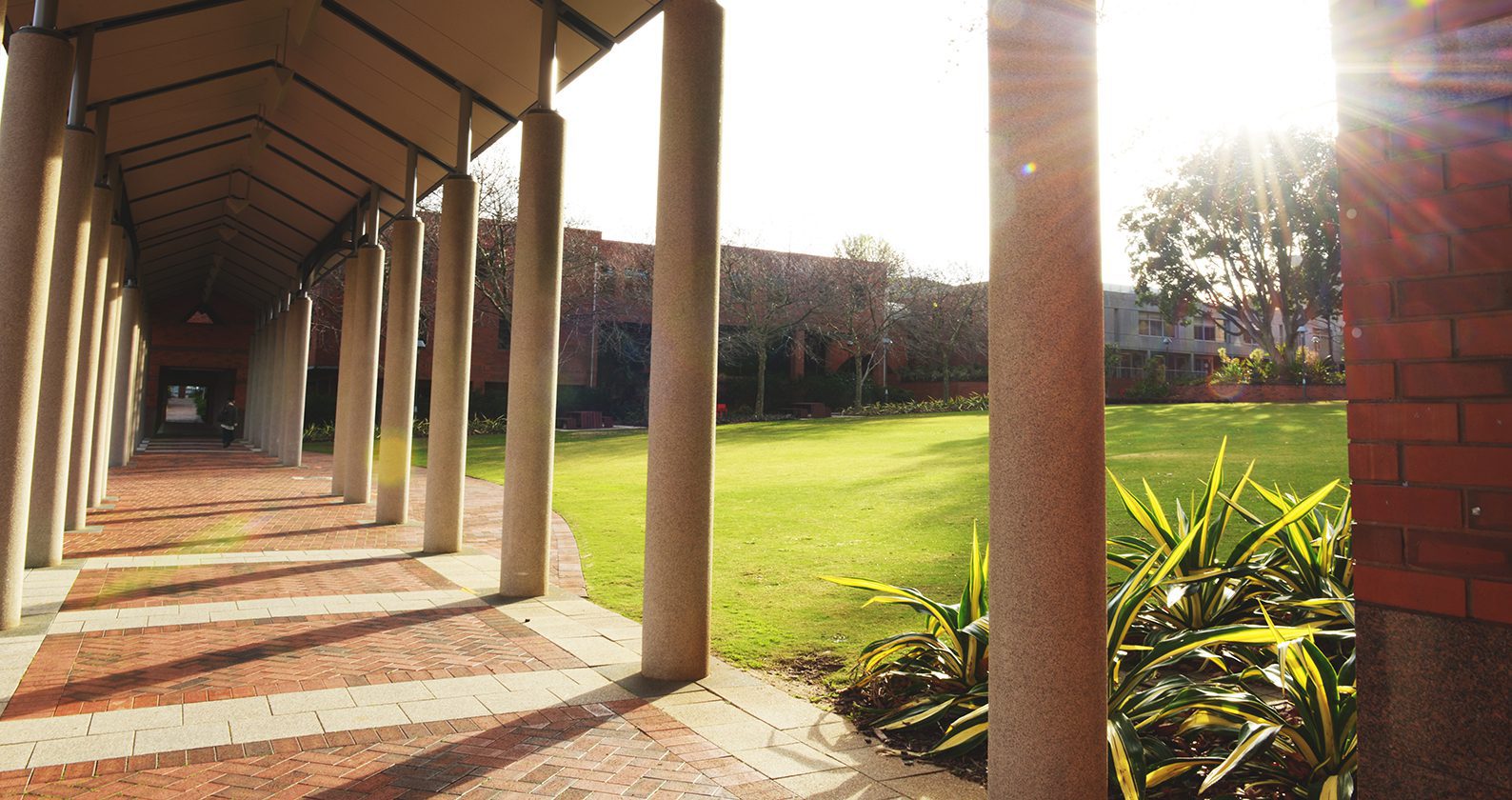 Covered walkway with columns beside a grassy campus courtyard in sunlight.
