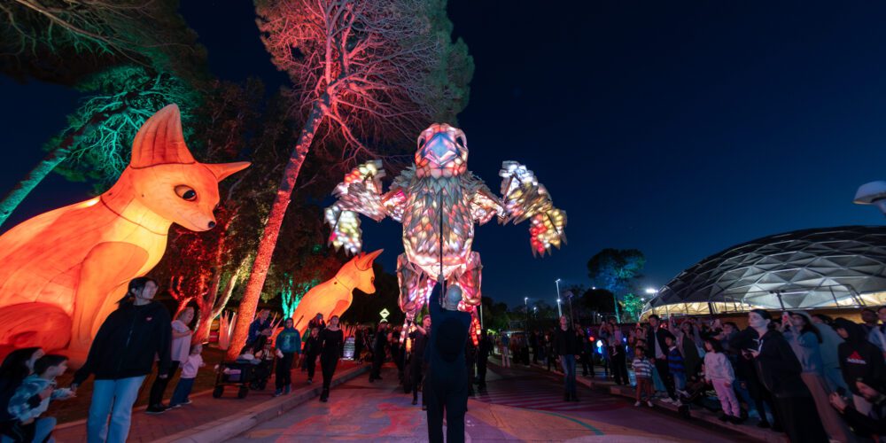 Curtin lights up as thousands enjoy Creatures on Campus wildlife spectacle