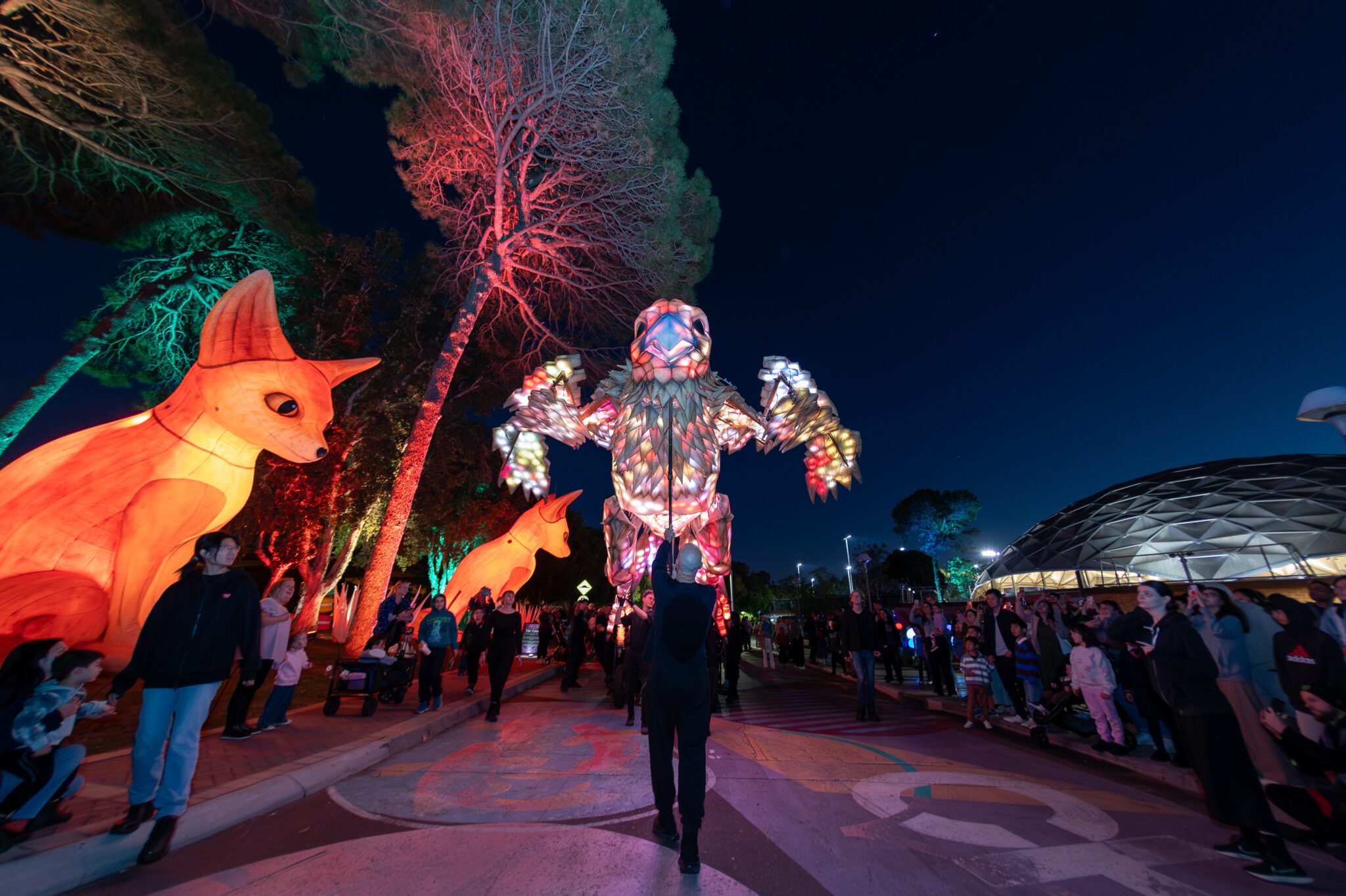 Image for Curtin lights up as thousands enjoy Creatures on Campus wildlife spectacle