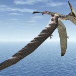 This perfectly preserved pterosaur wing just rewrote the fossil rulebook
