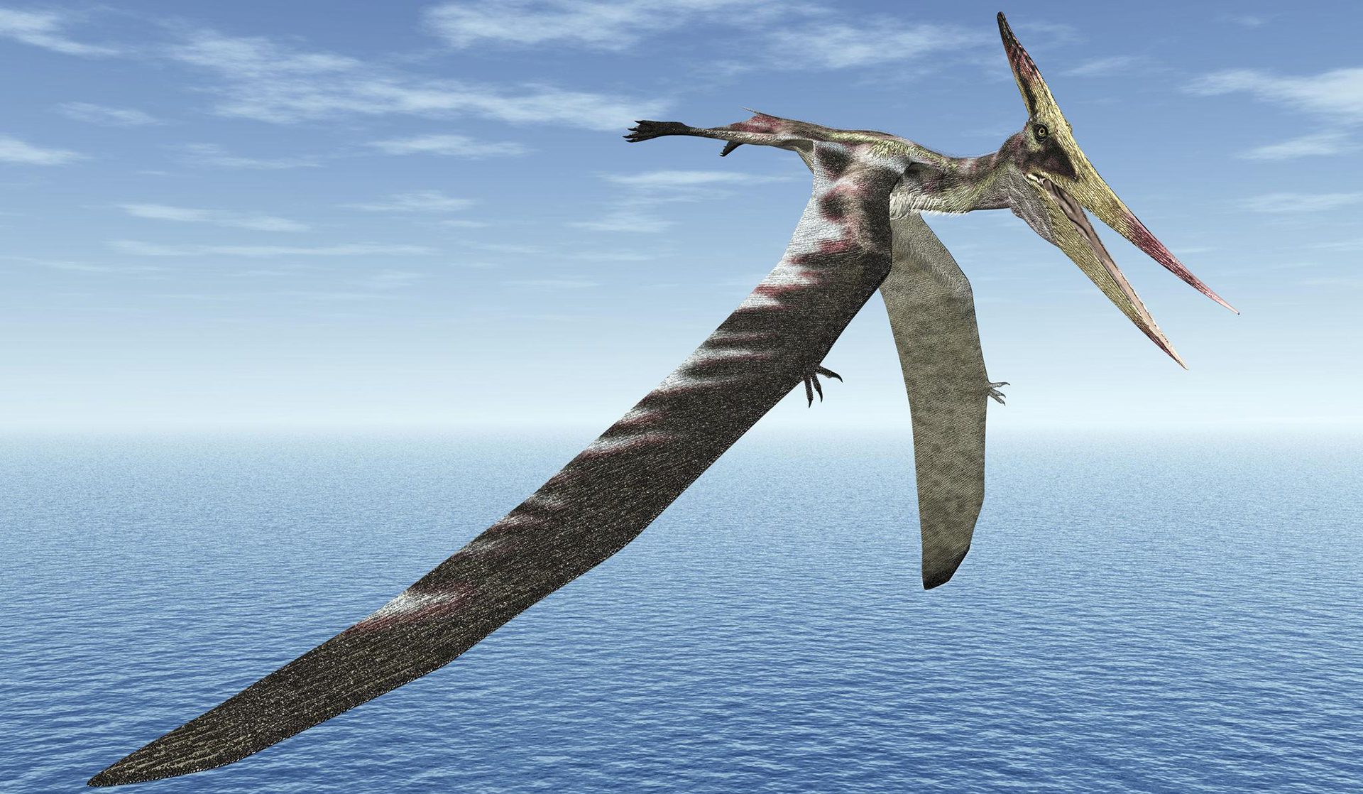 Image for This perfectly preserved pterosaur wing just rewrote the fossil rulebook