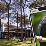 Snap & Map: What’s hiding on campus?