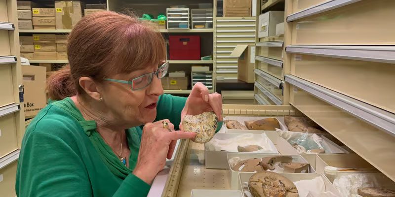 Woman with glasses, red hair and green top inspects fossil
