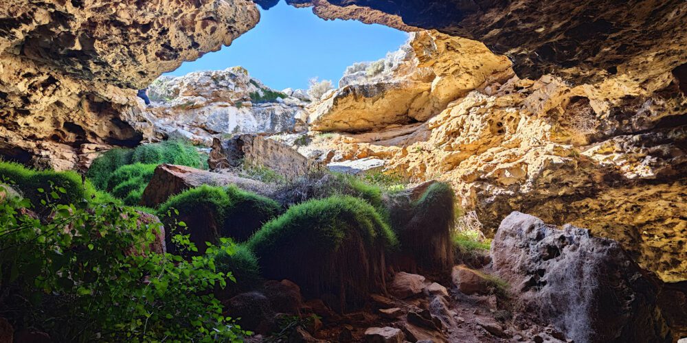 Hidden caves beneath the Nullarbor revealed by subtle surface trenches
