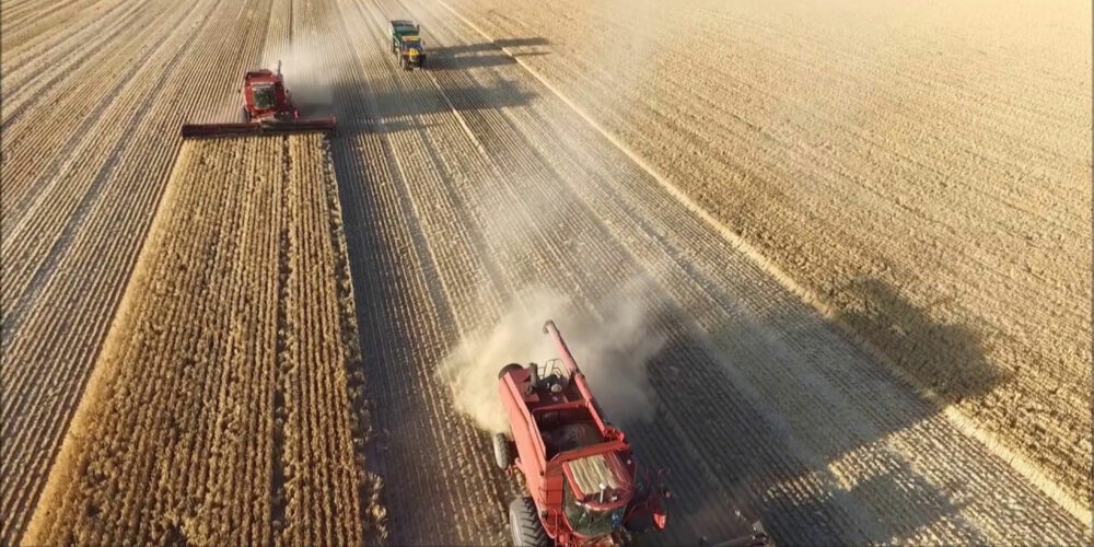 Tractors harvesting a field