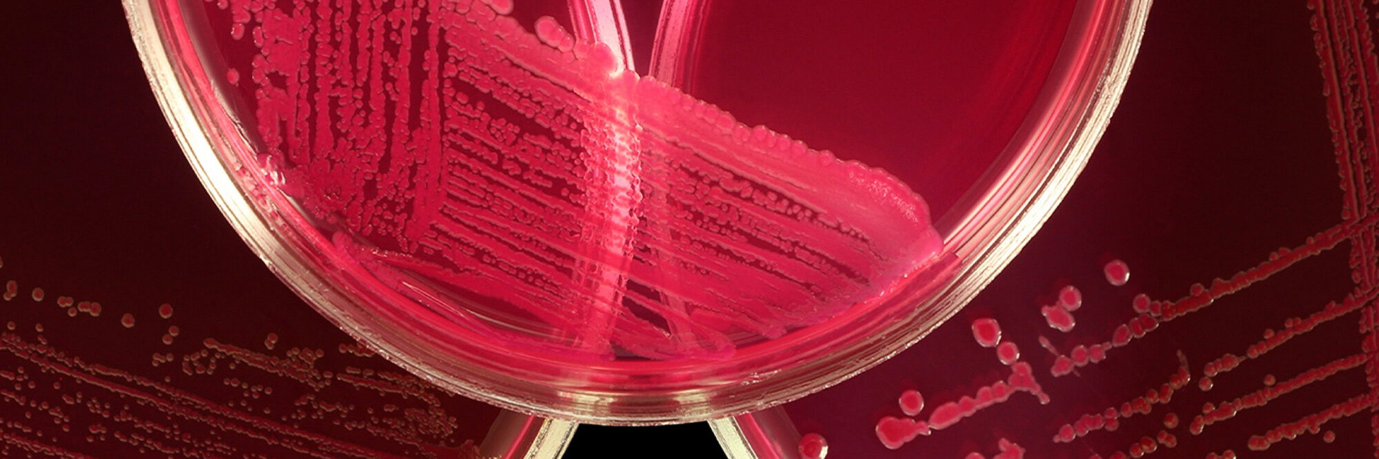 Biomedical and clinical science