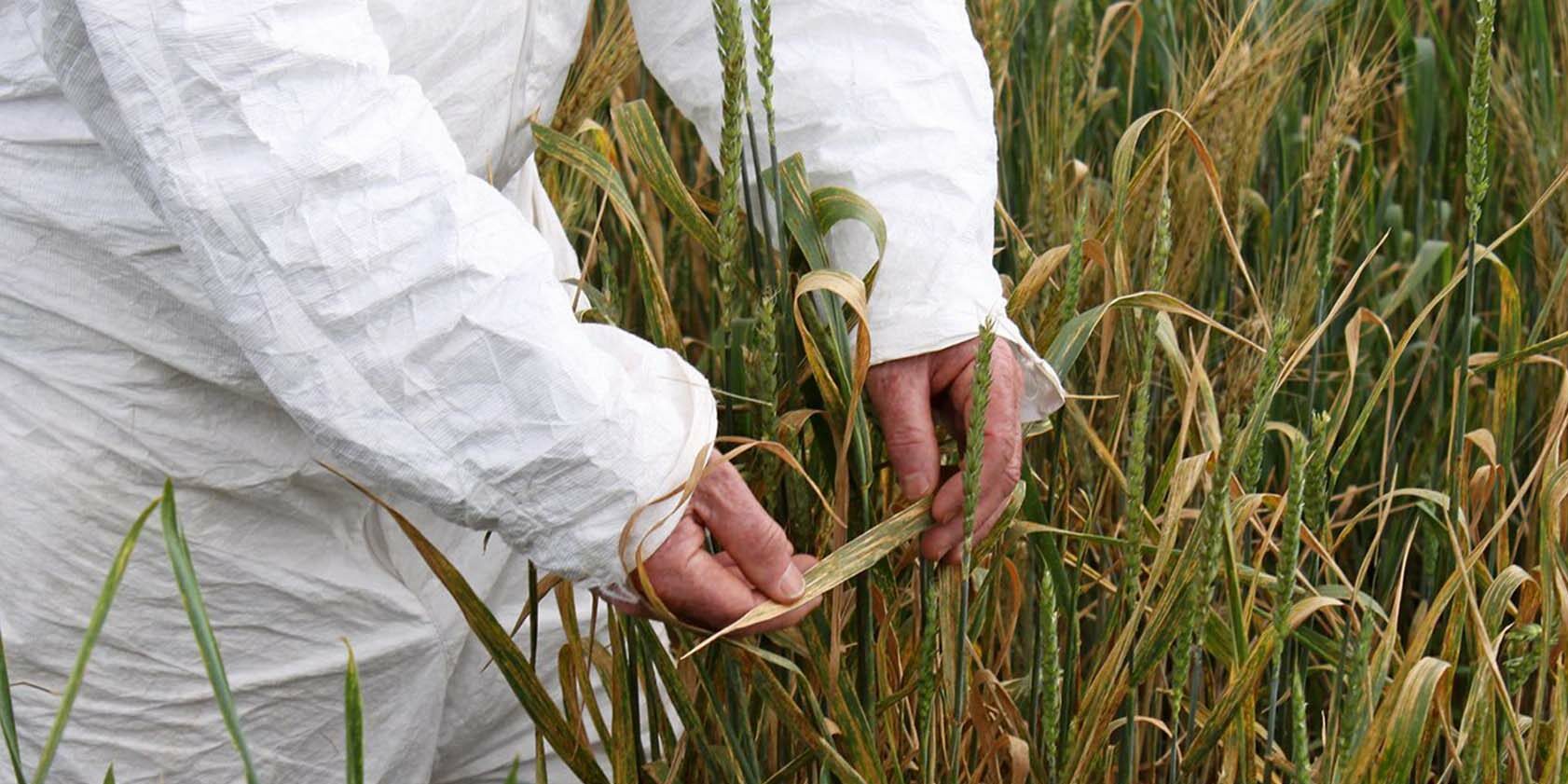 Centre for Crop and Disease Management