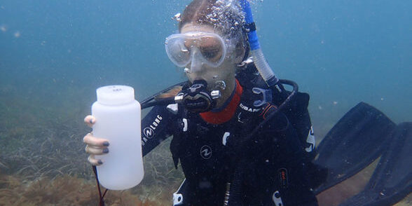 Conservation & Biodiversity