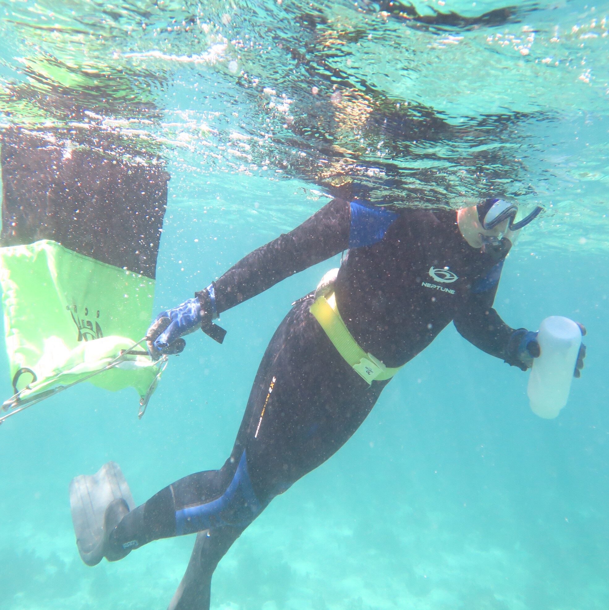 Sample collection and submission