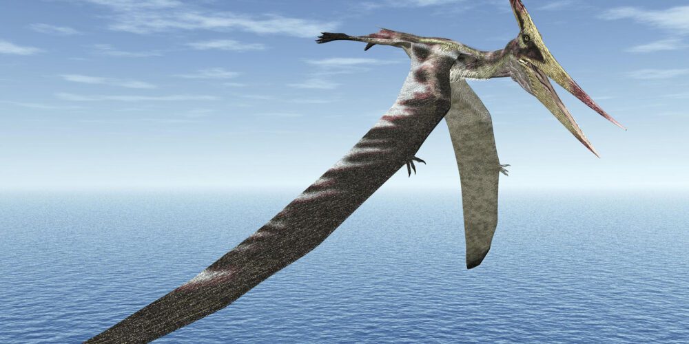 Fossil Bites: Tiny clues from a lost world
