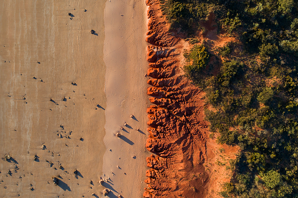 Environmental DNA: Tracing nature's genetic breadcrumbs