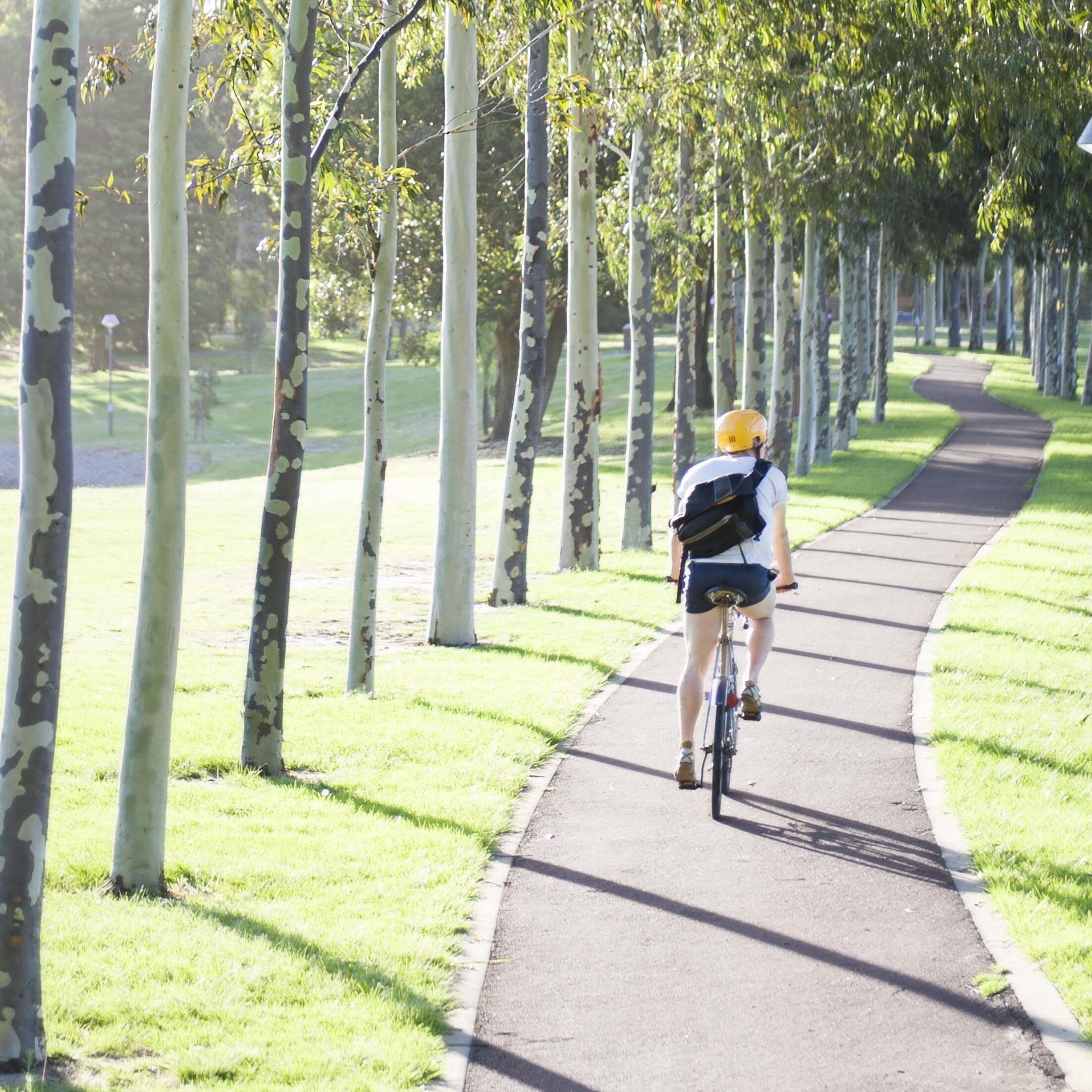 Cycling and transport facilities 