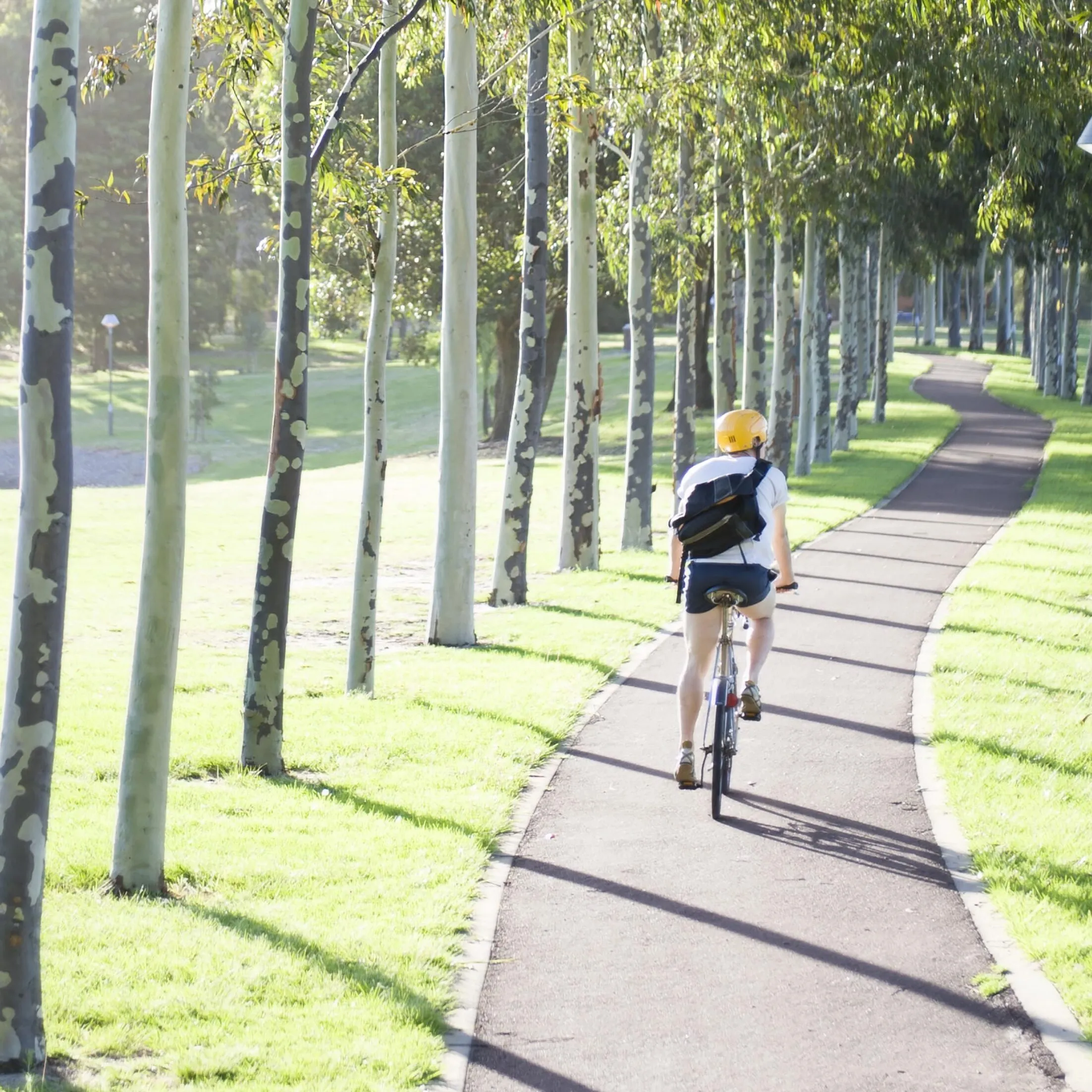 Cycling and transport facilities 