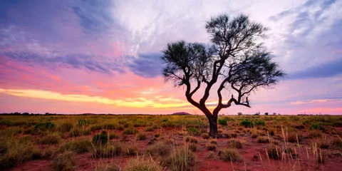 Regional opportunities