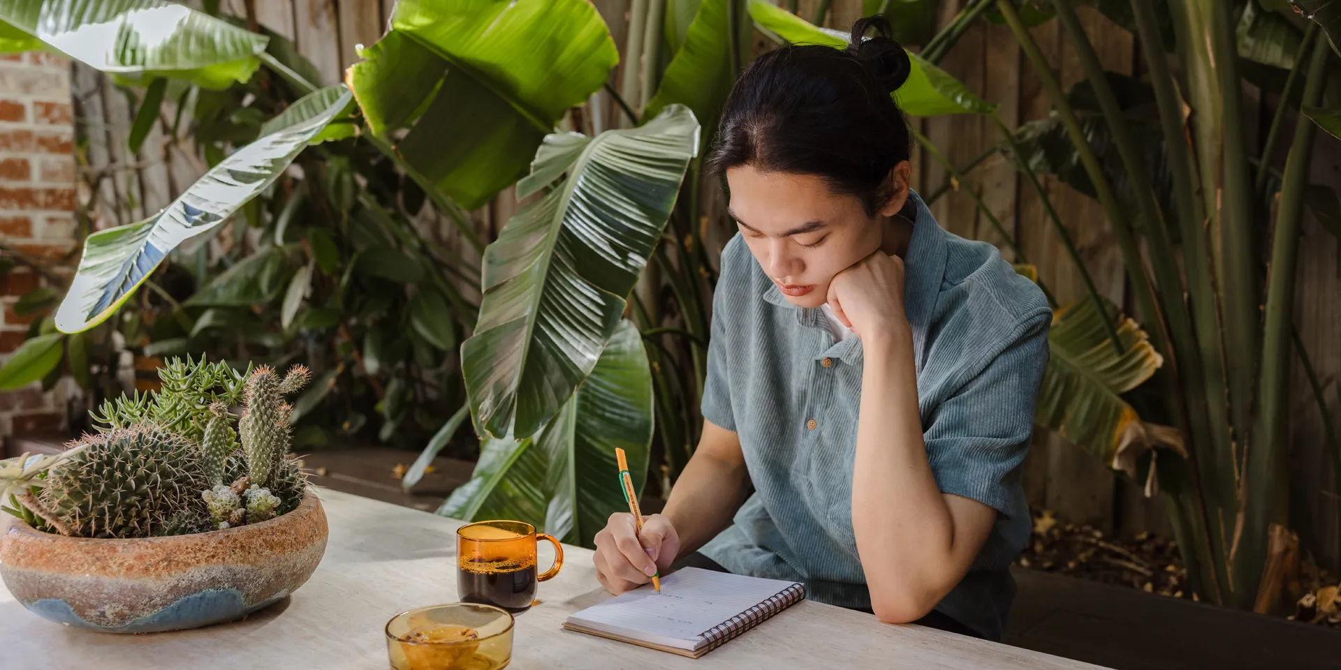 Accomodation Coaches