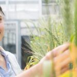 Food and Agriculture Honours Projects