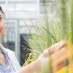 Food and Agriculture Honours Projects