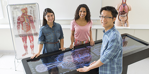 Group of students standing around the anatamage table
