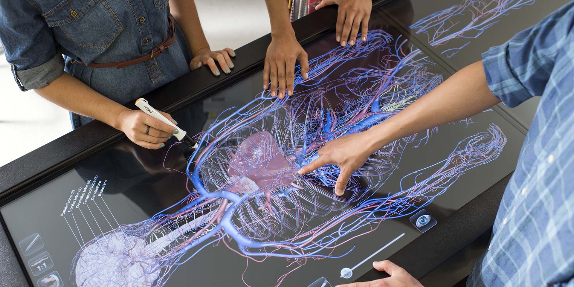 Students using Health Sciences equipment
