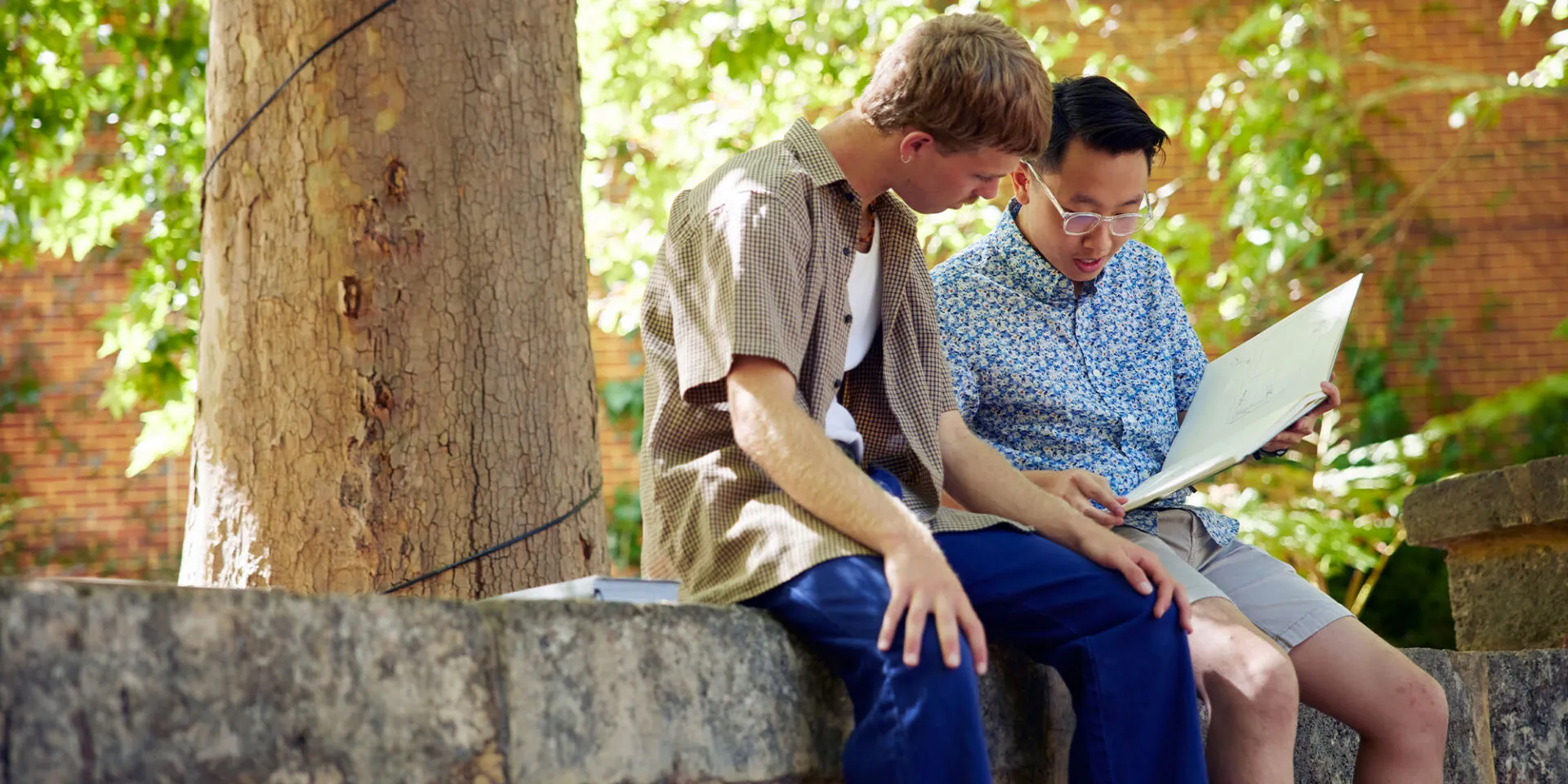 Students studying together
