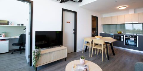 twin dolphin apartment interior