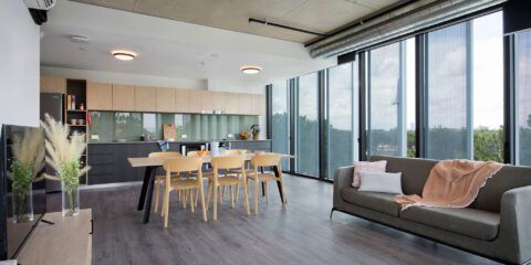 twin dolphin apartment interior