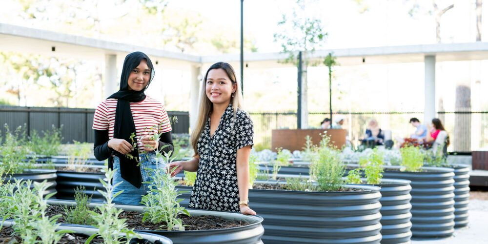 Twin dolphin herb garden with students