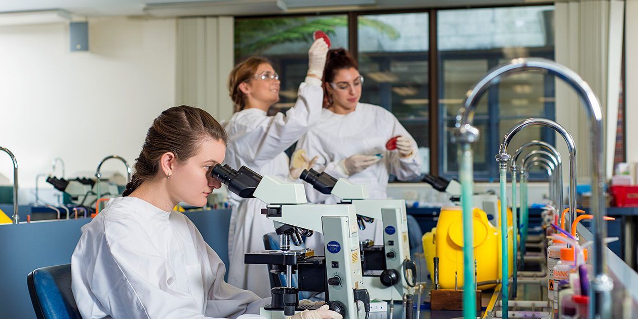Curtin Health students in a lab setting studying samples in a petri dish and under a microscope
