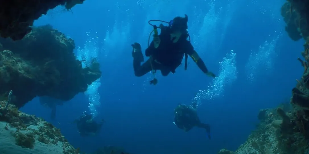 Curtin student in wet suit scuba diving near coral - play video