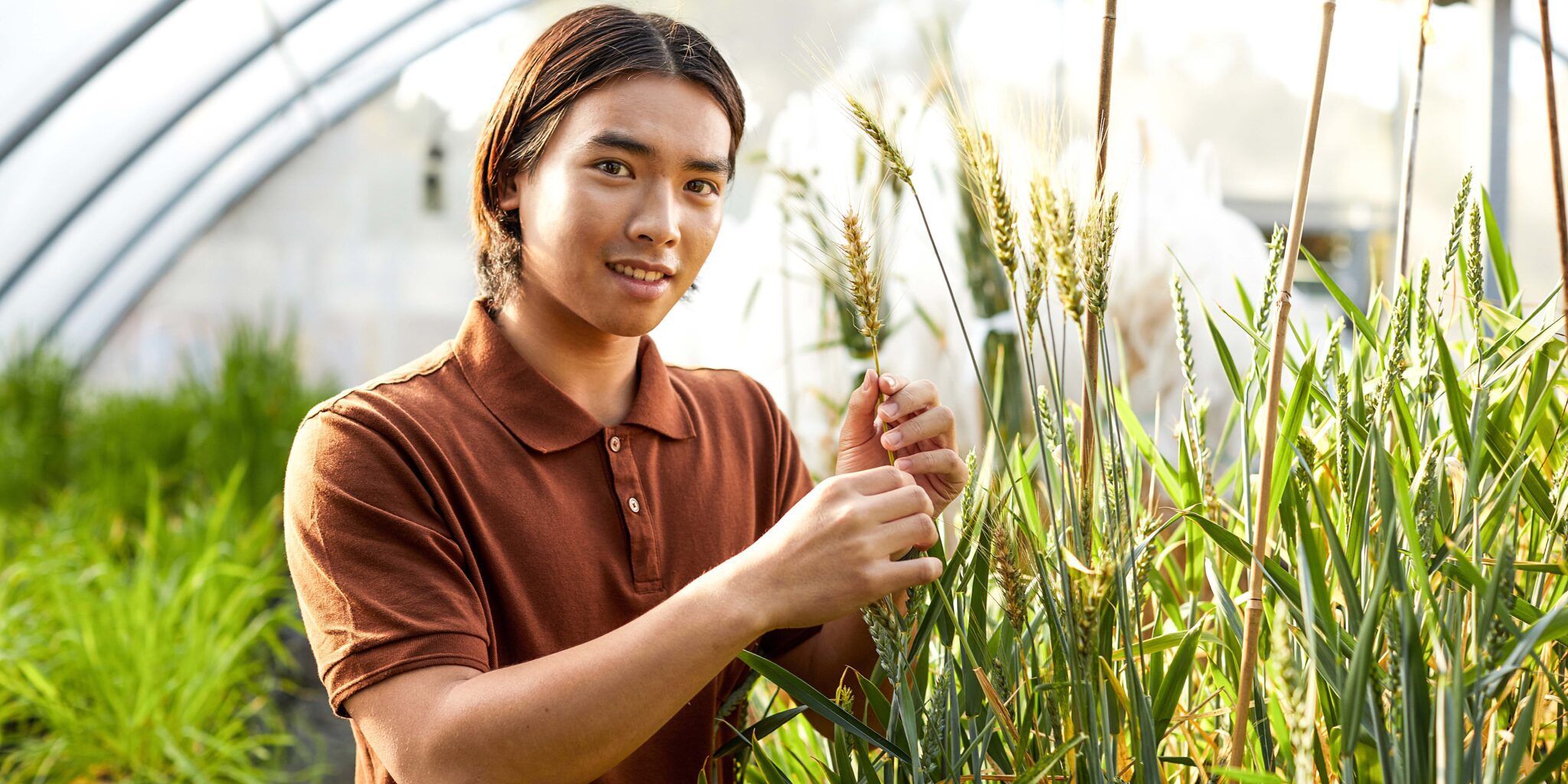 Male student in an agricultural environmental lab setting