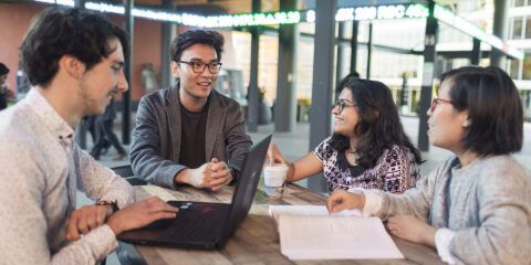 Why study a specialisation from business, management and law? 