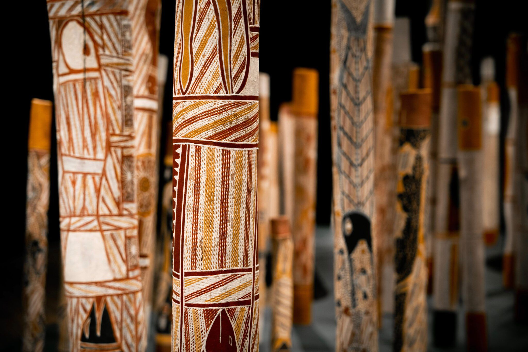 Didgeridoo Gallery