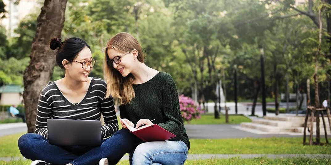 Discover our undergraduate courses