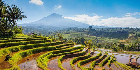 Green Entrepreneurship (Bali, Indonesia)