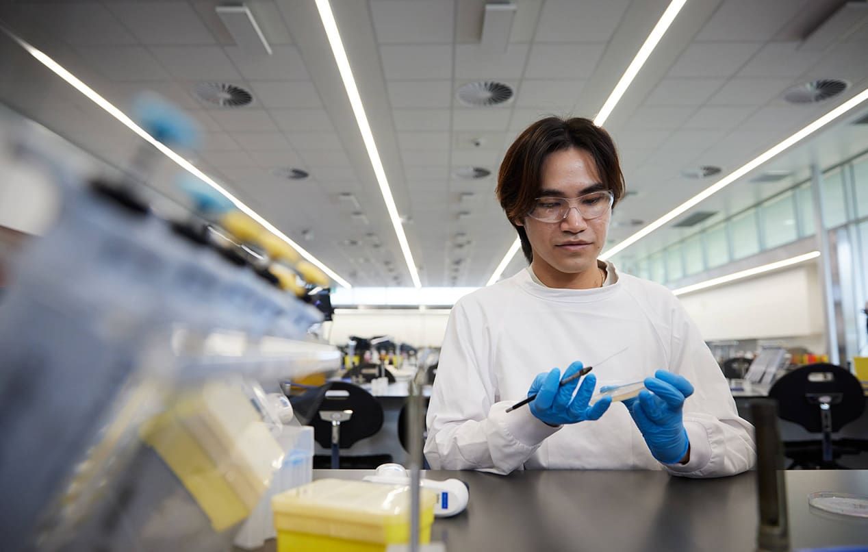 Medical student working in lab