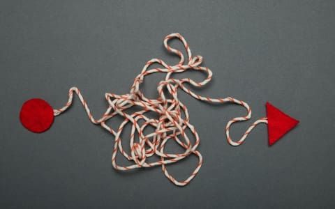 Understanding and solving complex problems